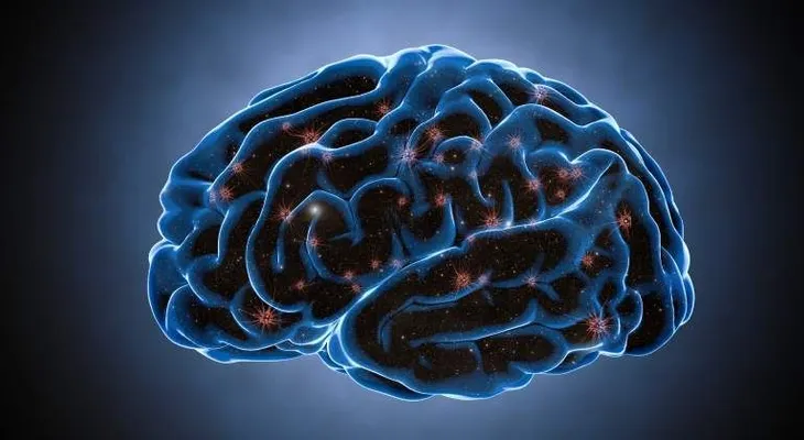 Investigan qué ocurre en el cerebro cuando pasa de hablar a teclear