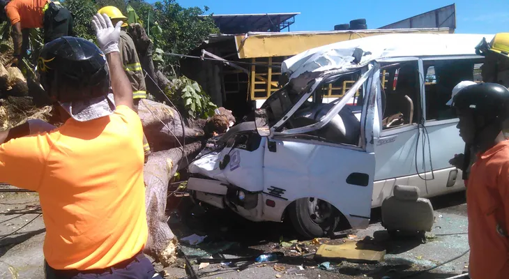 Arbol cae encima de minibús y mata dos personas y deja 5 muy graves