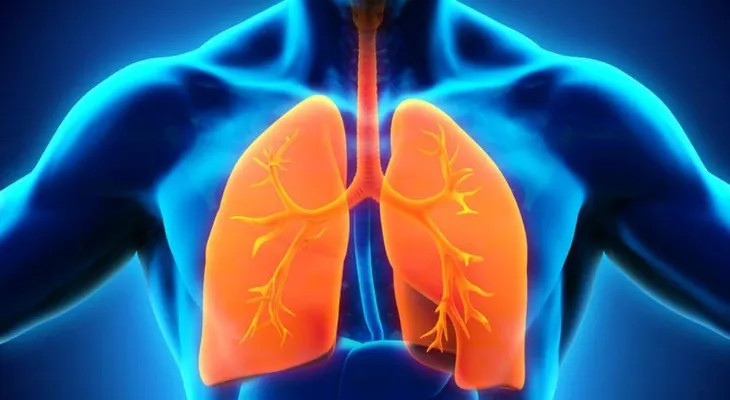 Científicos españoles logran un nuevo avance contra las infecciones pulmonares