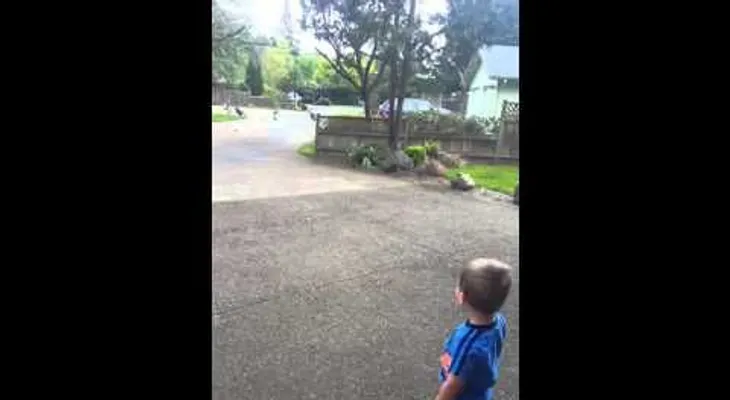 Un niño habla con los pavos y estos le responden (VIDEO)