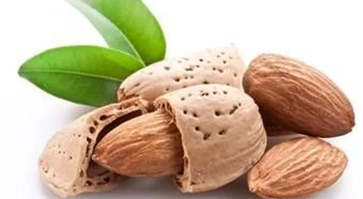 La almendra: un regalo para la salud
