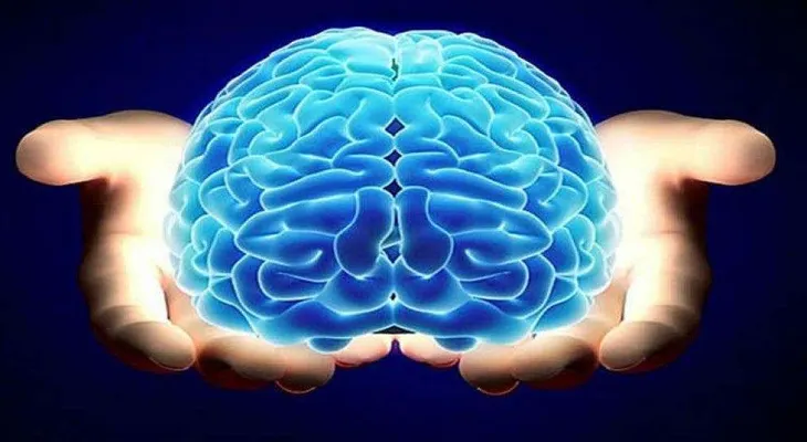 Describen por primera vez el espacio de trabajo global que dirige el cerebro