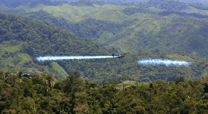 Corte Constitucional de Colombia abre las puertas para volver a fumigar con glifosato