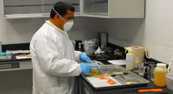 Un médico mexicano patenta una fórmula que "devuelve la vida" a los muertos
