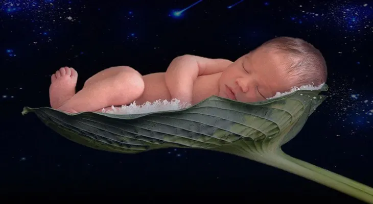 ¿Será posible concebir un bebé en el espacio?. Pronto darán resultados 