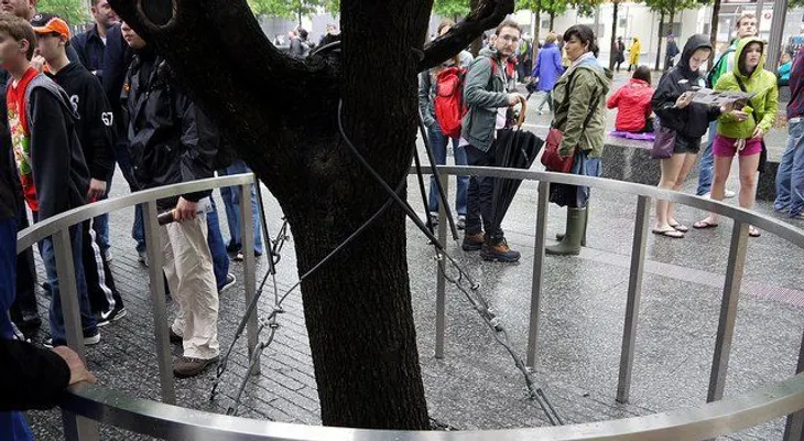El único árbol que sobrevivió al 11 de septiembre