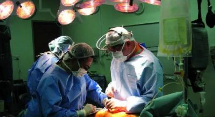 Por esta razón España es líder mundial en donaciones de órganos