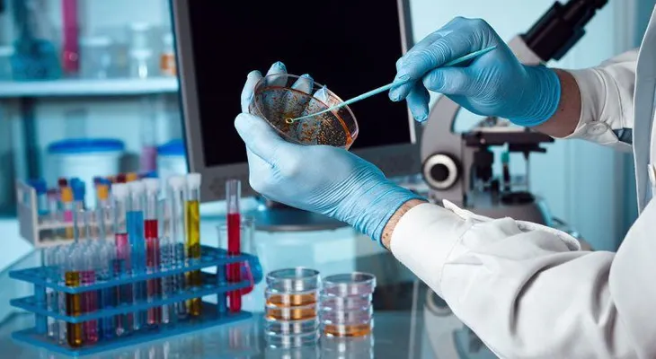Científicos utilizan cepas de bacterias modificadas para tratar el cáncer