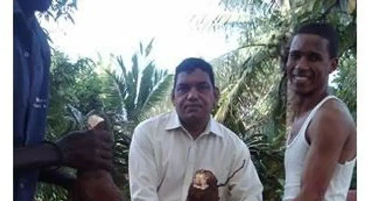 Waoo: Eso es lo que se llama una planta de yuca productiva