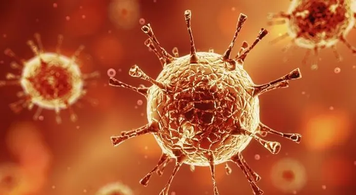 Cinco cosas que debes conocer del virus del Ébola