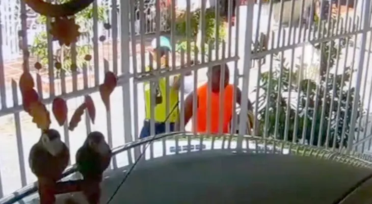 El aterrador momento en que sicarios fusilan de un disparo en la cabeza a un funcionario en Colombia