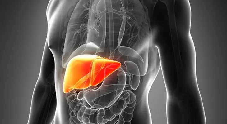 Revolución médica: el primer órgano humano ya está siendo impreso en 3D
