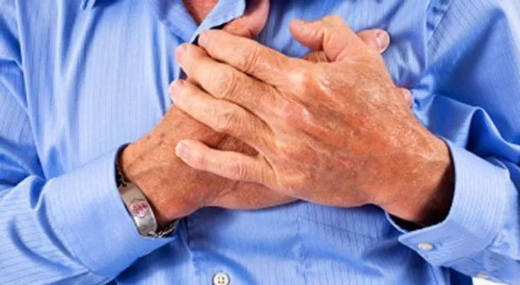 Descubren las células encargadas de reparar el corazón tras un infarto