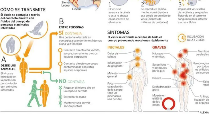 ¿Cómo protegerse del Ébola?