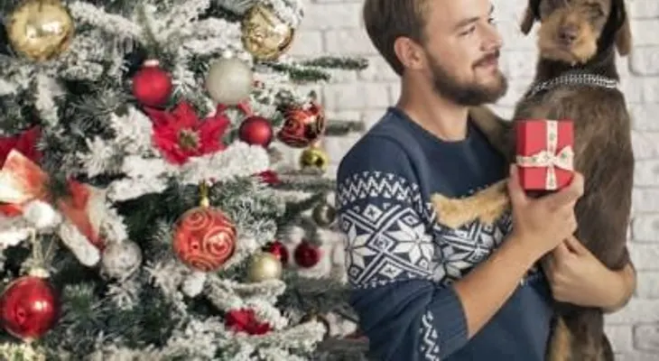 El espíritu navideño se encuentra en el cerebro