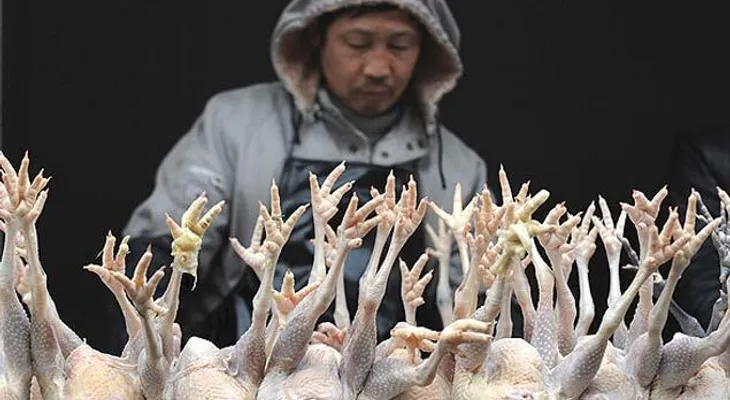 En China vendían pollos vencidos desde hace más de 40 años 