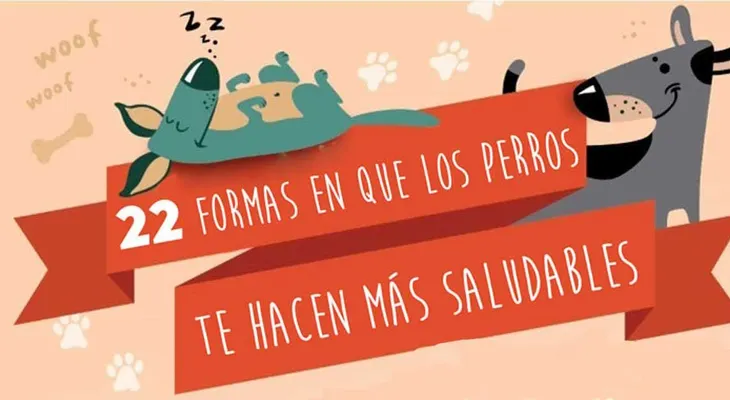 Anota las 22 formas que el perro te ayuda con la salud