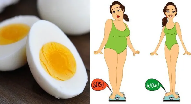 ¿Se puede perder peso, con la dieta del huevo cocido?