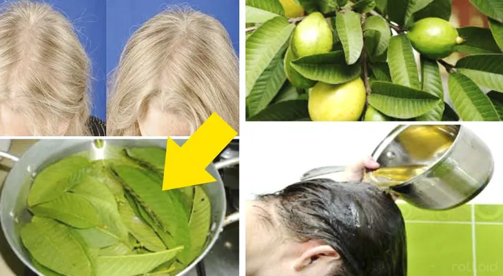 Aumentan las plaquetas y hacen crecer el pelo como loco, las hojas de guayaba
