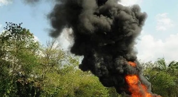 Procuraduría incinera 270 kilogramos de drogas