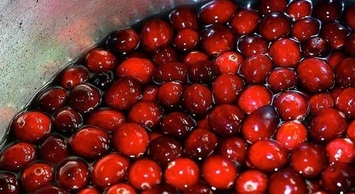 Un enjuague bucal con cranberry puede reducir número de bacterias en la saliva