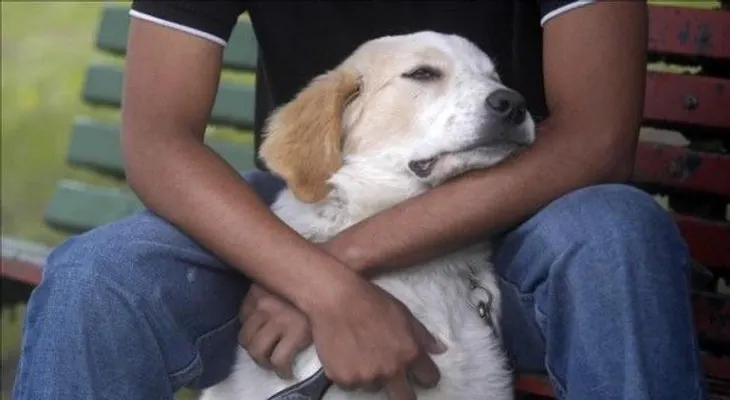 Dueño y perro experimentan una conexión similar al de madre e hijo