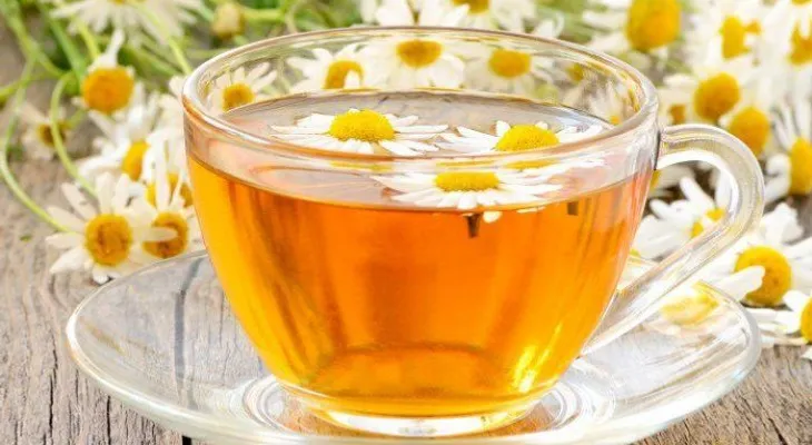 Descubre los mejores tes e infusiones para perder peso