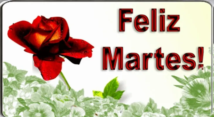 Martes 15 de mayo
