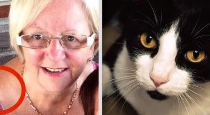 Impactante historia del gato que salva la vida de esta anciana