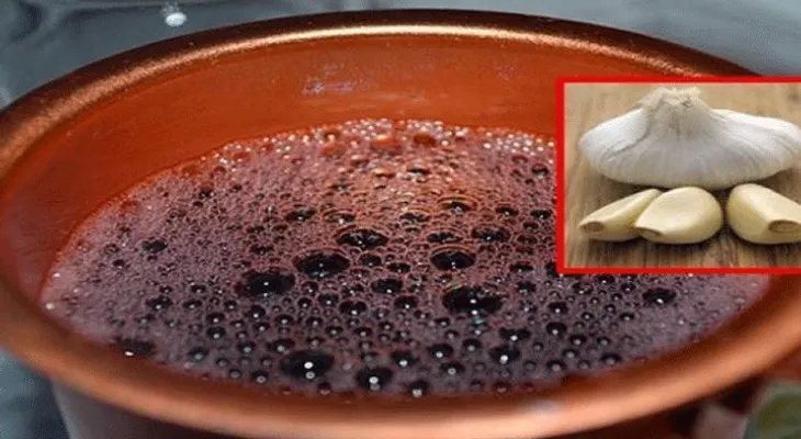 Si está cansado (a) debes hacerte una limpieza de sangre, estos son los ingredientes