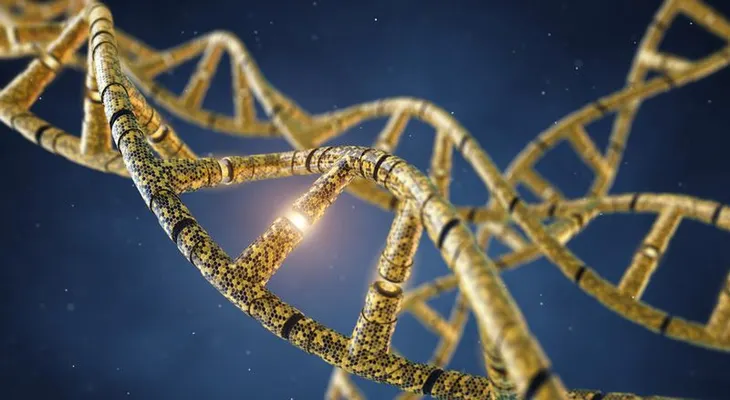 Conoce algunas notables curiosidades de la genética humana