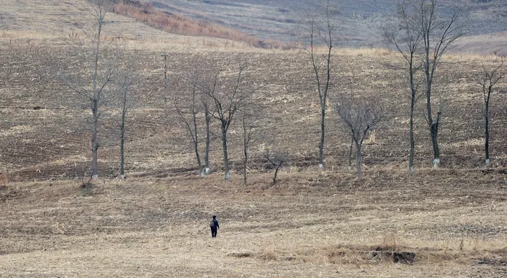 Corea del Norte enfrenta su peor sequía desde el 2001: ¿por qué es tan grave?