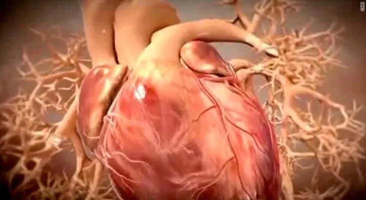 Si siente un dolor en el pecho acude a un médico, puede ser un síntoma de un infarto 
