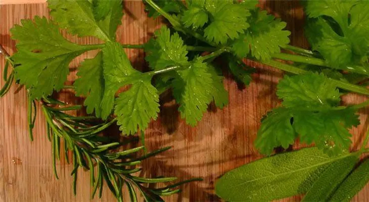Conservar las hierbas aromáticas