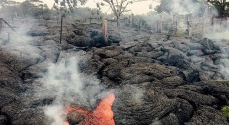 Árboles de Lava en Hawai: Entérate cómo están formados ¡Te sorprenderás!