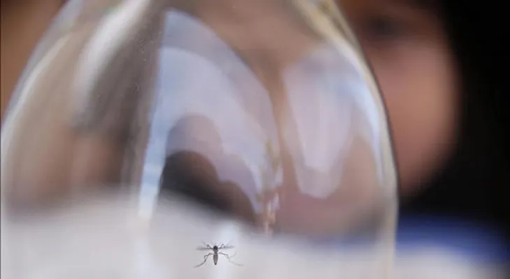 Alerta en región boliviana de Santa Cruz al subir a tres los casos de Zika