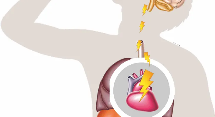 Bebidas energéticas ¿portadores de energía o de infartos?