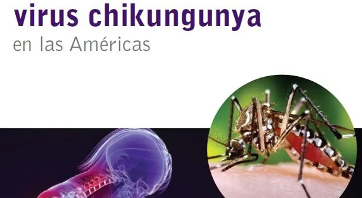 Vimovo es un "tiro" contra la chikungunya; dicen quienes los han tomado