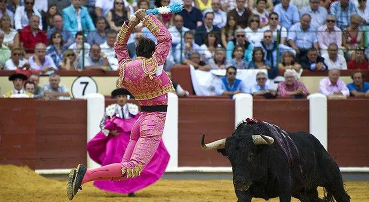 Escrito de un técnico sobre las corridas de toros enciende redes sociales