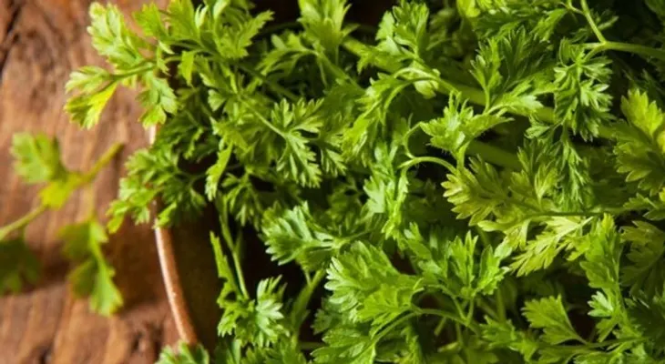 Ajo, salvia, infusión de perifollo y espliego para disminuir los niveles del colesterol 