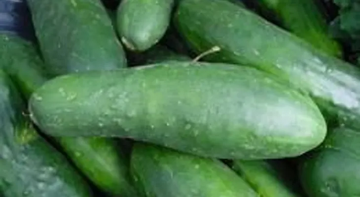 Descubren el pepino tiene una aroma que logra excitar a las mujeres