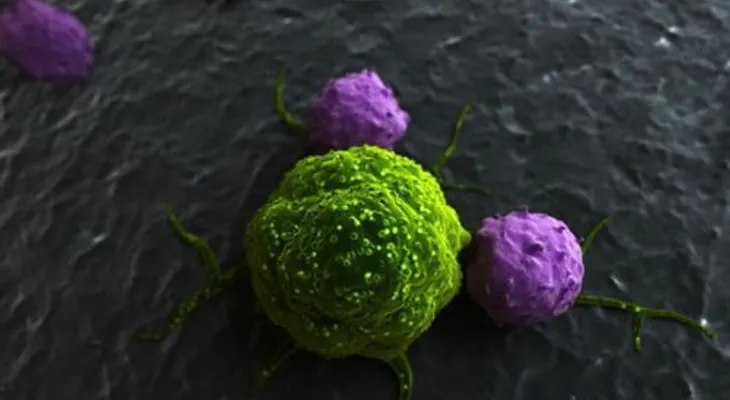 Investigadores chinos descubren un virus que detiene el cáncer 
