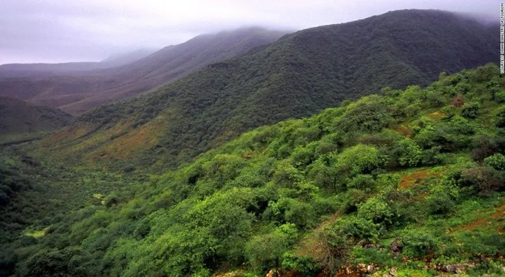 El secreto de Salalah: un desierto se convierte en bosque tropical en Omán