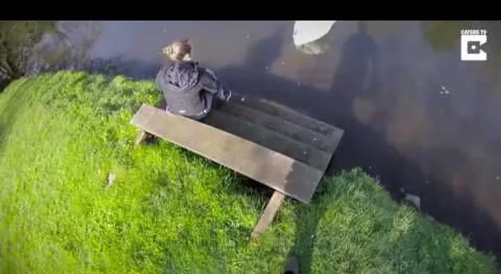 Un hombre salta sobre un cisne en un río? para salvarlo