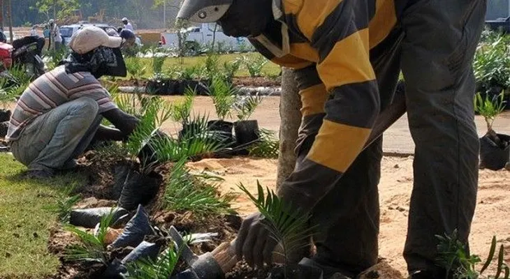 Encuesta confirma medio millón de haitianos viven en RD