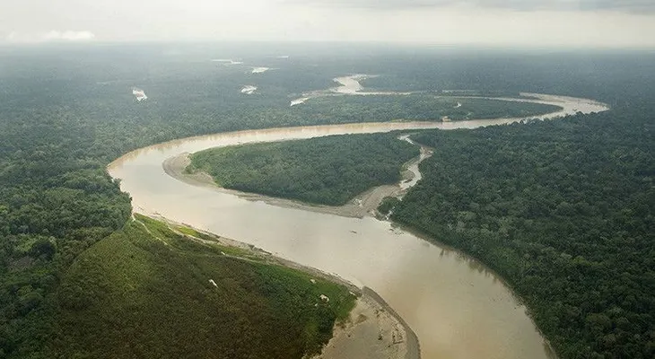 "Nos quedamos todos atónitos": Gran descubrimiento en las profundidades del Amazonas
