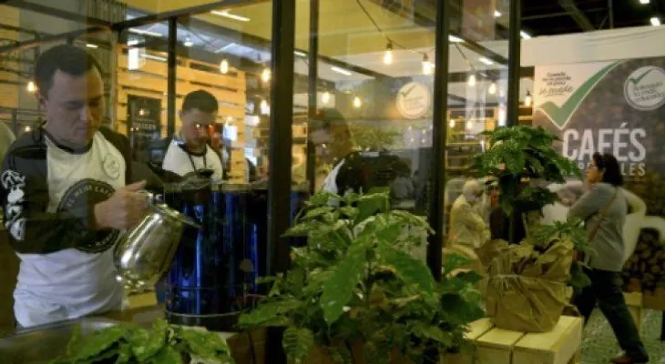 El café deja de ser el villano de la película