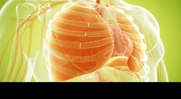 Una desintoxicación para limpiar los pulmones