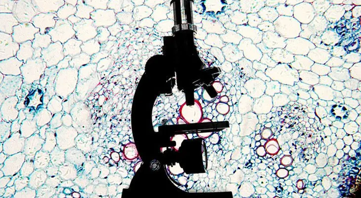 Una niña de ocho años sugiere posible cura para el cáncer 