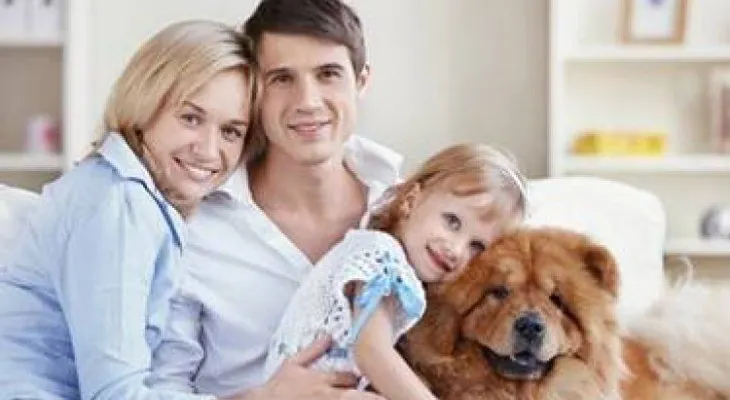 Por qué los niños confían ciegamente en sus mascotas